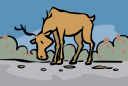 Moose Clipart