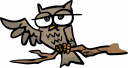 Owl Clipart