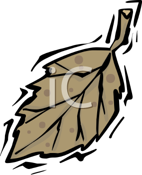 Thanksgiving Clipart
