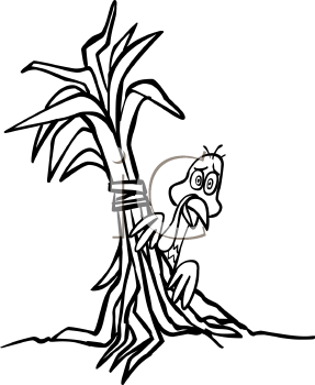 Thanksgiving Clipart