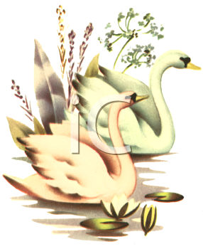 Bird Clipart