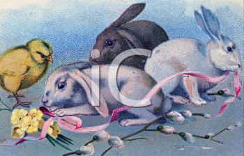 Rabbit Clipart