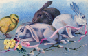 Rabbit Clipart