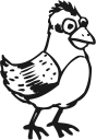 Bird Clipart
