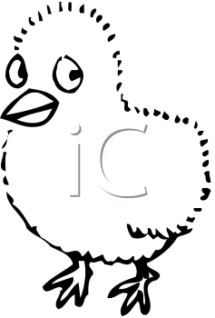 Bird Clipart