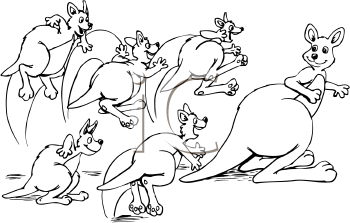 Kangaroo Clipart