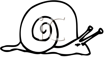 Snail Clipart