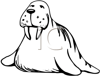 Walrus Clipart