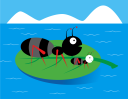 Lily Clipart