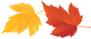 Thanksgiving Clipart