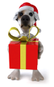 Christmas Presents Clipart