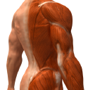 3D Clipart