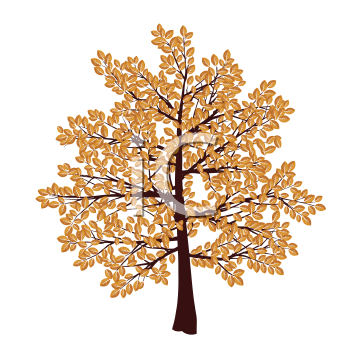 Thanksgiving Clipart