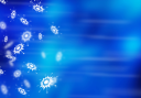 Christmas Clipart