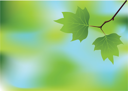 Nature and Scenic Clipart