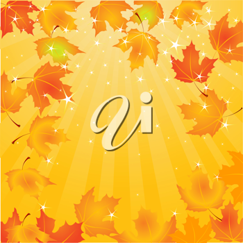 Thanksgiving Clipart