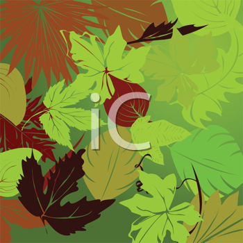 Thanksgiving Clipart