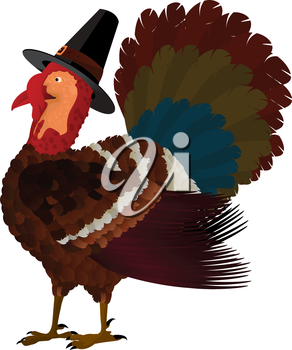 Thanksgiving Clipart
