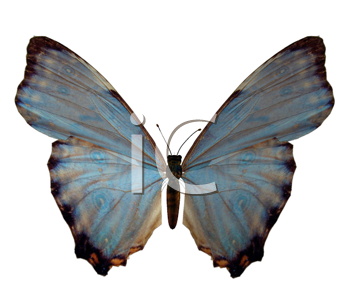 3D Clipart