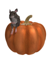 3D Clipart