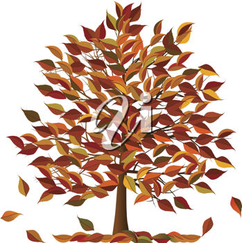Thanksgiving Clipart