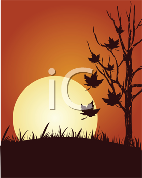 Thanksgiving Clipart