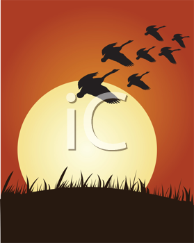 Thanksgiving Clipart