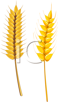 Thanksgiving Clipart