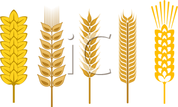 Thanksgiving Clipart