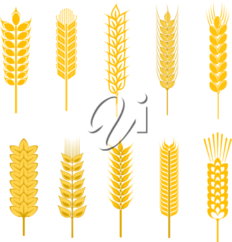 Thanksgiving Clipart