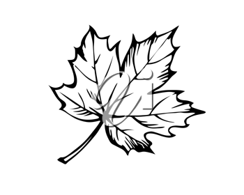 Thanksgiving Clipart