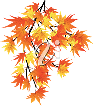 Thanksgiving Clipart