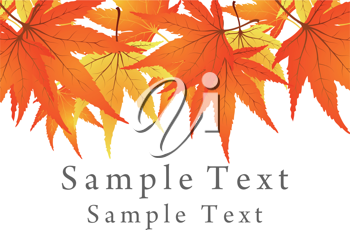 Thanksgiving Clipart