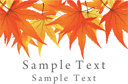 Thanksgiving Clipart