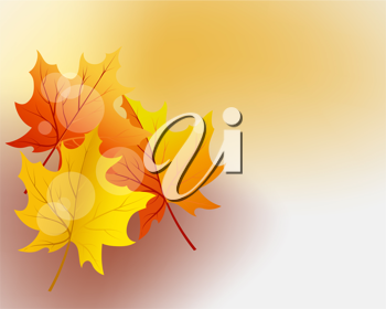 Thanksgiving Clipart