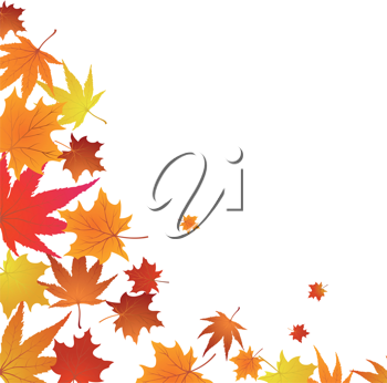 Thanksgiving Clipart