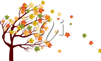 Thanksgiving Clipart