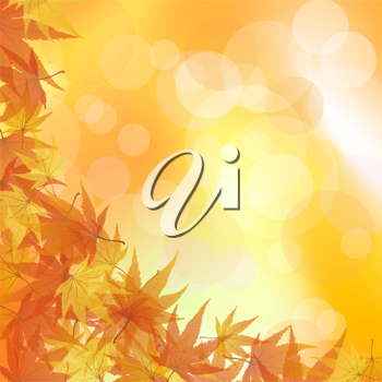 Thanksgiving Clipart