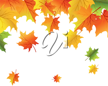 Thanksgiving Clipart