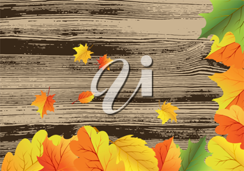 Thanksgiving Clipart