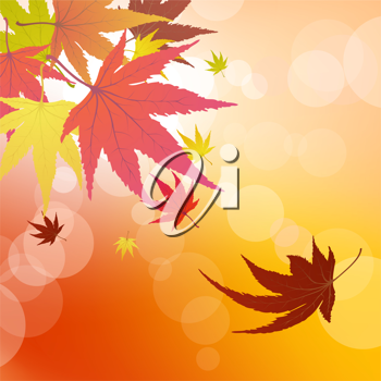 Thanksgiving Clipart