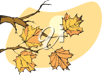 Thanksgiving Clipart