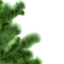 Christmas Clipart