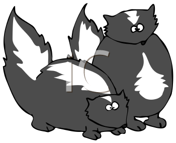 Skunk Clipart
