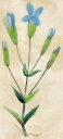 Christian Clipart