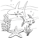 Fish Clipart
