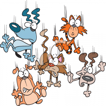 Cat Clipart