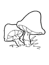 Cartoon Clipart