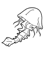 Cartoon Clipart