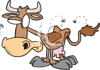 Cow Clipart
